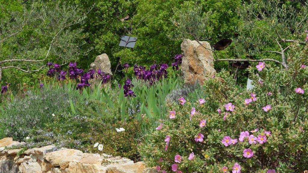 Les Hauts Des Materonnes Tourves Екстер'єр фото